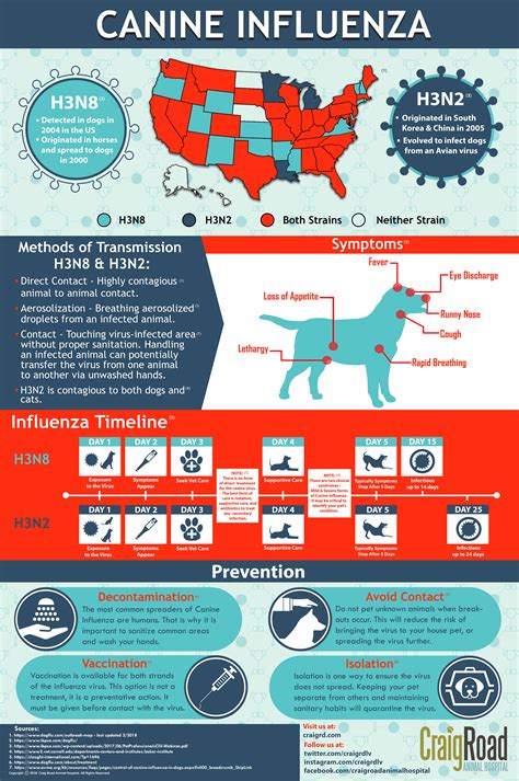 canine influenza vaccine avma